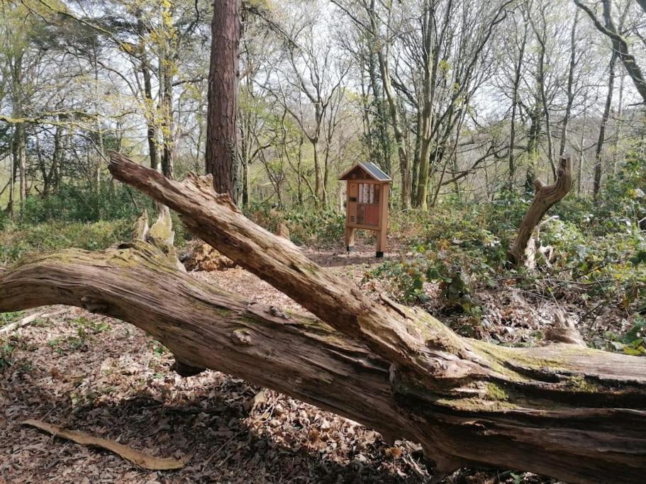 Pebble Cottage Uny Lelant Exteriér fotografie